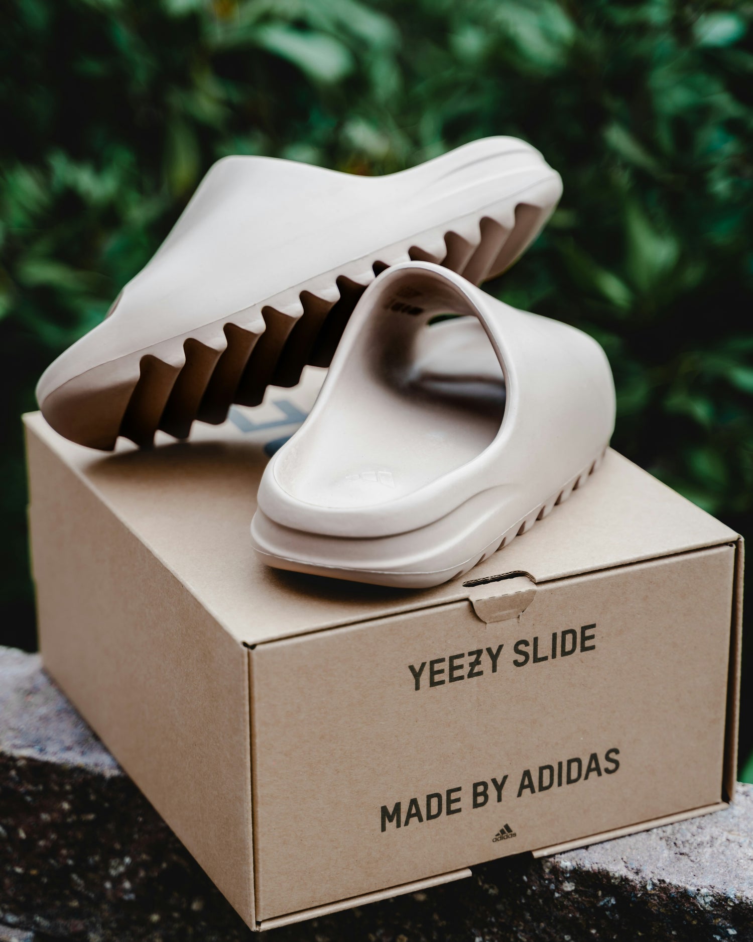 Yeezy