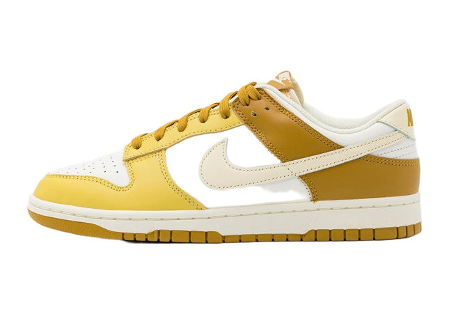 Nike Dunk Retro