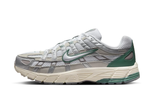 Nike P-6000 Light Bone