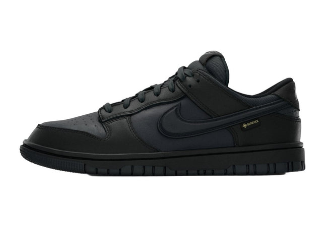 Nike Dunk Low GTX Black Off Noir