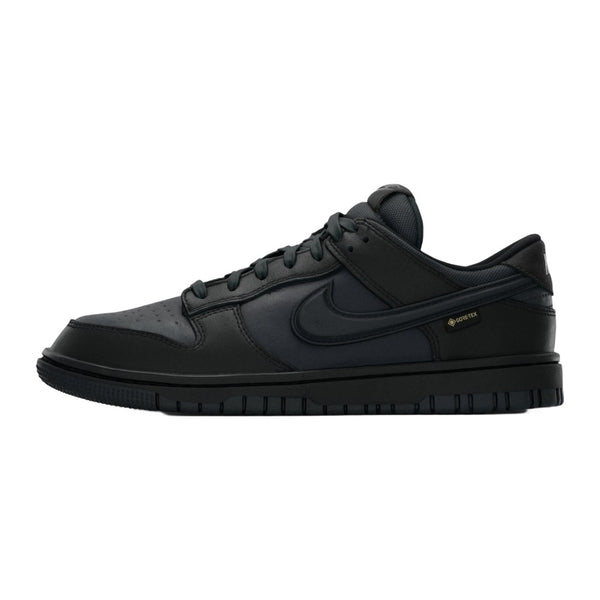 Nike Dunk Low GTX Black Off Noir