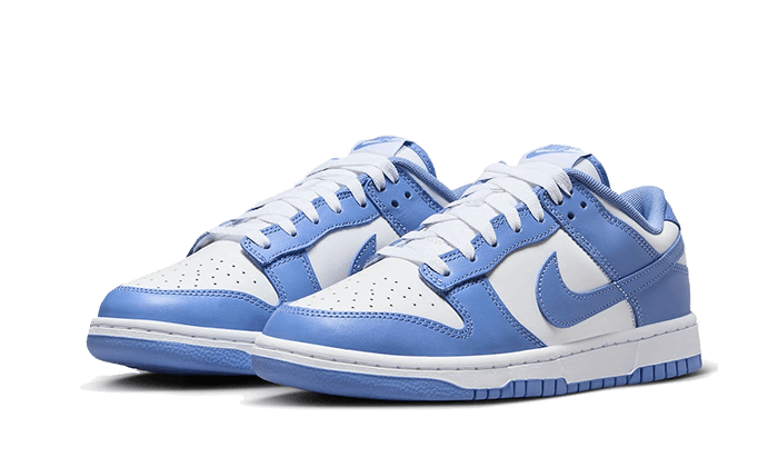 Nike Dunk Low Polar Blue